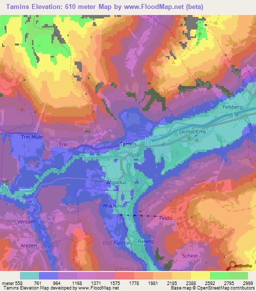 Tamins,Switzerland Elevation Map