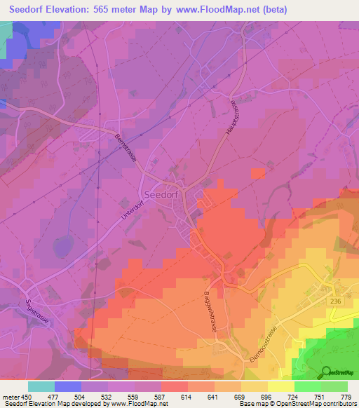 Seedorf,Switzerland Elevation Map