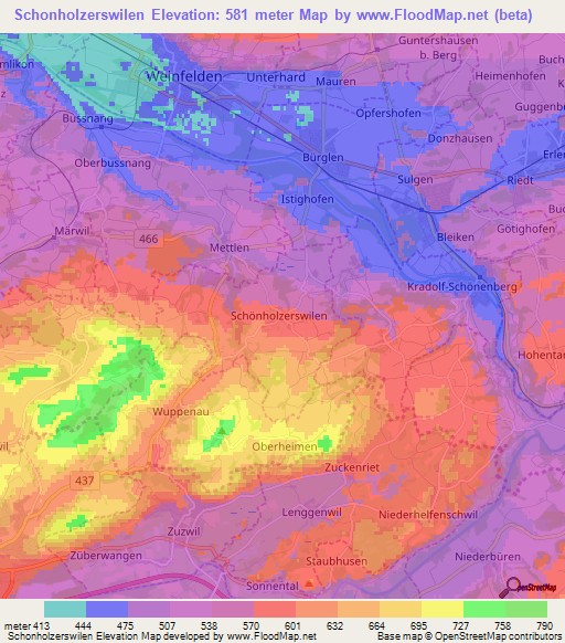 Schonholzerswilen,Switzerland Elevation Map