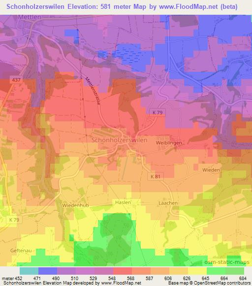 Schonholzerswilen,Switzerland Elevation Map