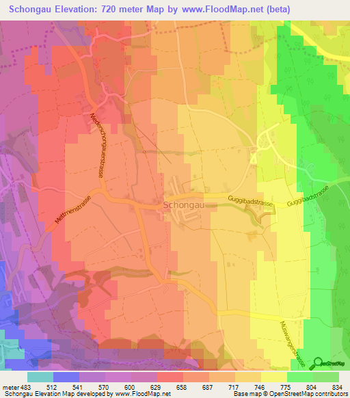 Schongau,Switzerland Elevation Map