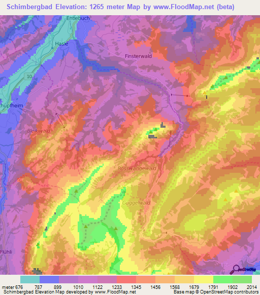 Schimbergbad,Switzerland Elevation Map