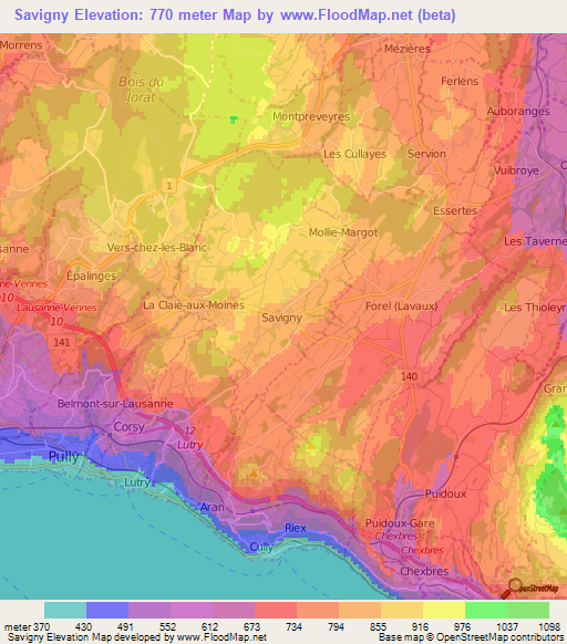 Savigny,Switzerland Elevation Map