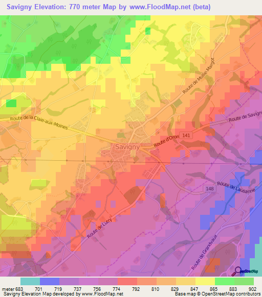 Savigny,Switzerland Elevation Map