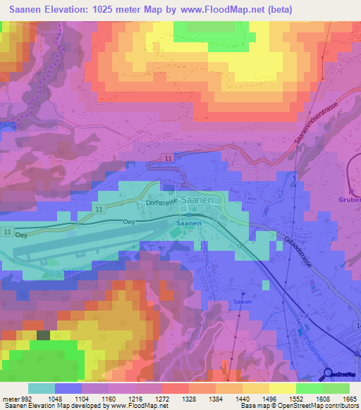 Saanen,Switzerland Elevation Map