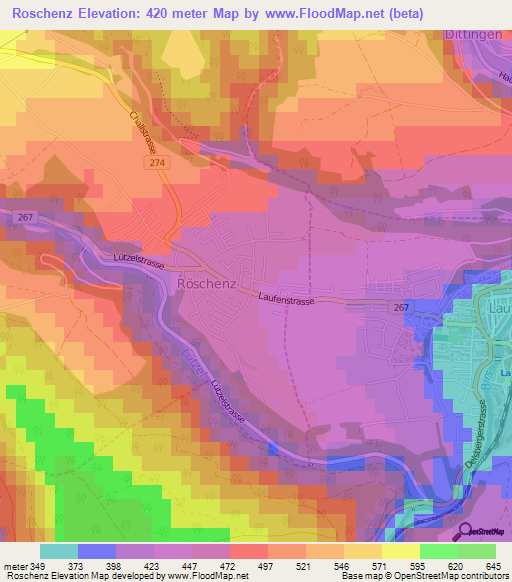 Roschenz,Switzerland Elevation Map