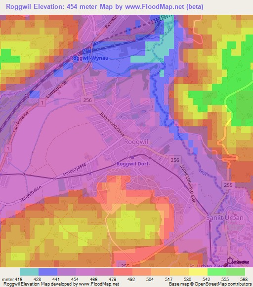 Roggwil,Switzerland Elevation Map