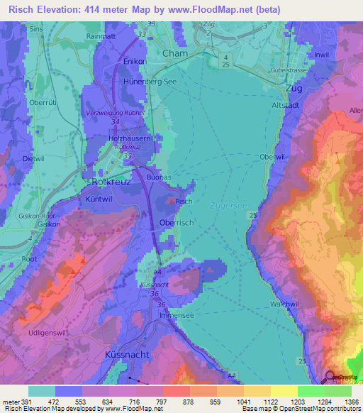 Risch,Switzerland Elevation Map