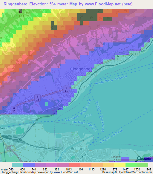 Ringgenberg,Switzerland Elevation Map