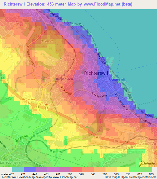 Richterswil,Switzerland Elevation Map