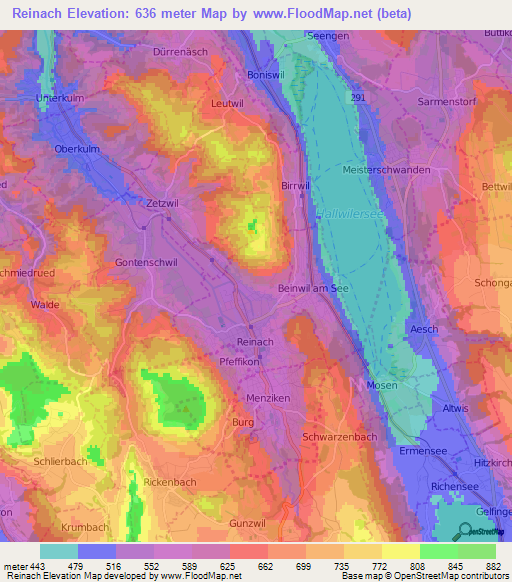 Reinach,Switzerland Elevation Map