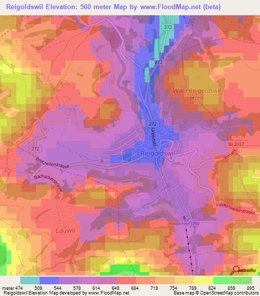 Reigoldswil,Switzerland Elevation Map