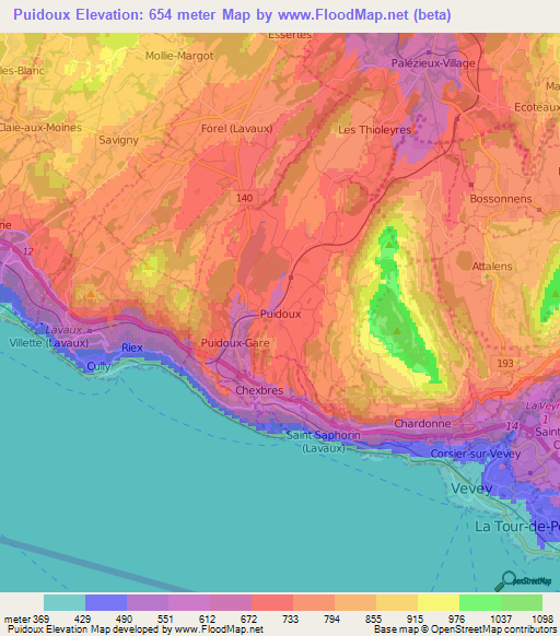 Puidoux,Switzerland Elevation Map