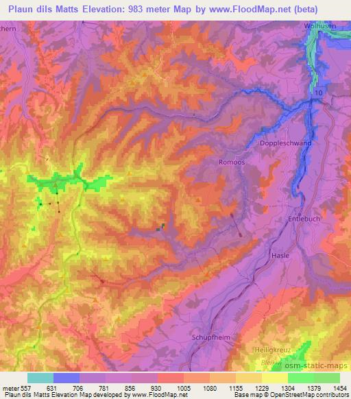 Plaun dils Matts,Switzerland Elevation Map