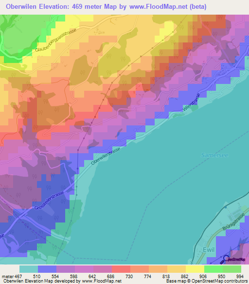 Oberwilen,Switzerland Elevation Map