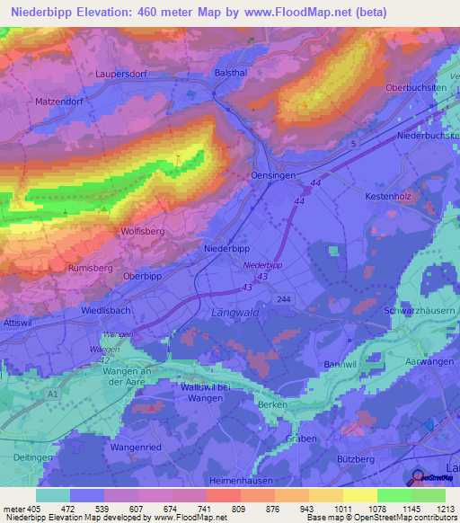 Niederbipp,Switzerland Elevation Map