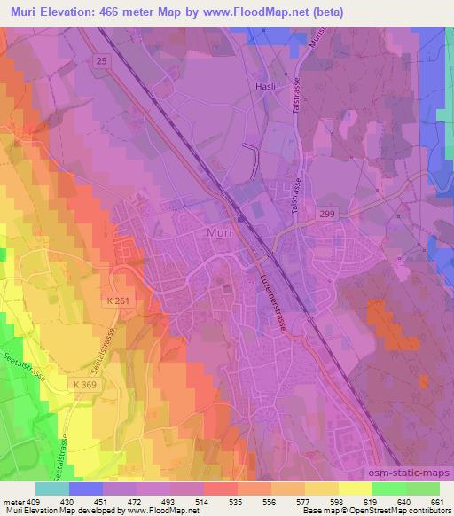 Muri,Switzerland Elevation Map