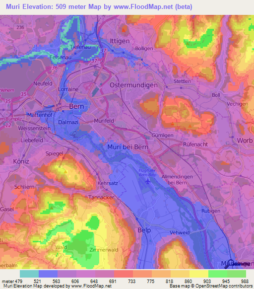 Muri,Switzerland Elevation Map