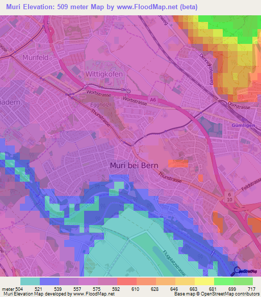 Muri,Switzerland Elevation Map