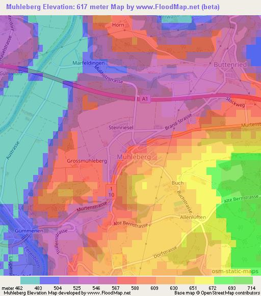 Muhleberg,Switzerland Elevation Map