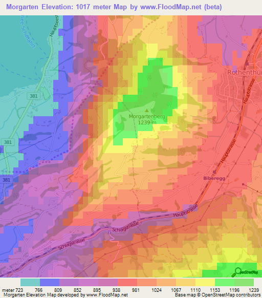 Morgarten,Switzerland Elevation Map