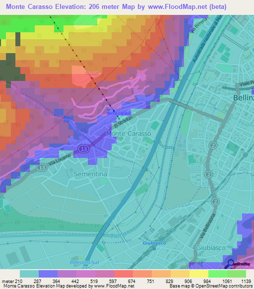 Monte Carasso,Switzerland Elevation Map