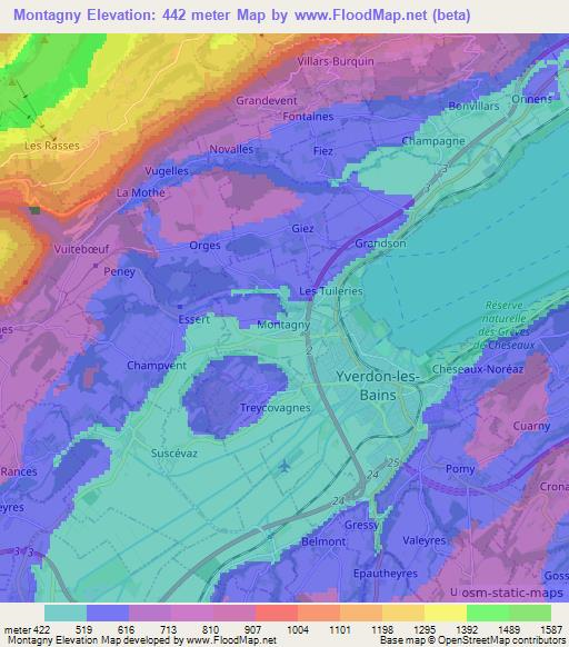 Montagny,Switzerland Elevation Map