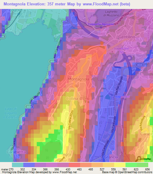 Montagnola,Switzerland Elevation Map