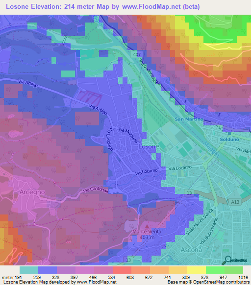 Losone,Switzerland Elevation Map