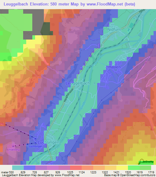 Leuggelbach,Switzerland Elevation Map
