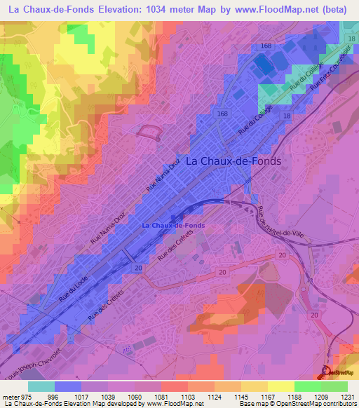 La Chaux-de-Fonds,Switzerland Elevation Map