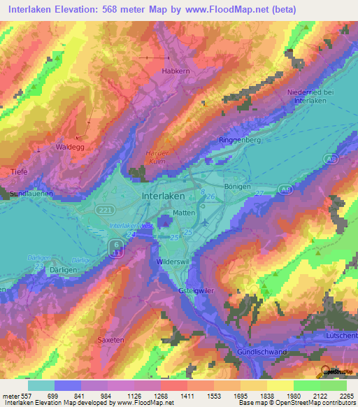 Interlaken,Switzerland Elevation Map