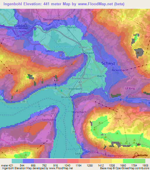 Ingenbohl,Switzerland Elevation Map