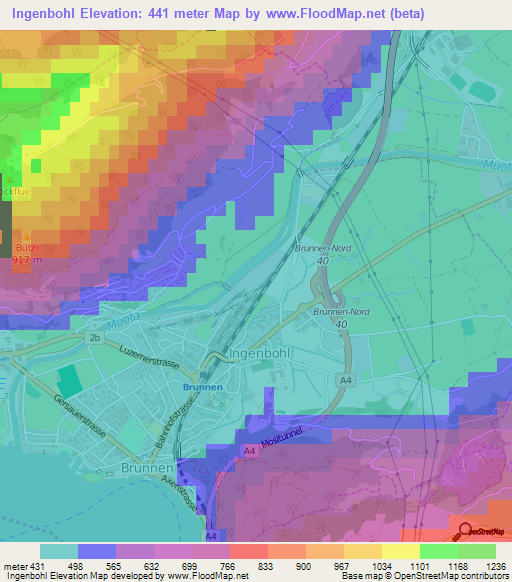 Ingenbohl,Switzerland Elevation Map
