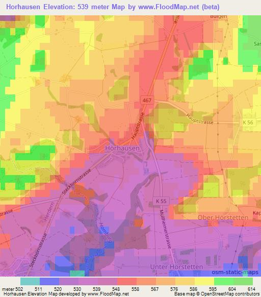Horhausen,Switzerland Elevation Map