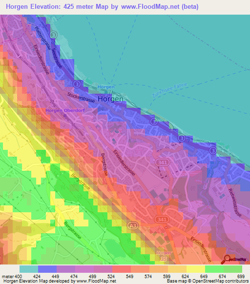 Horgen,Switzerland Elevation Map