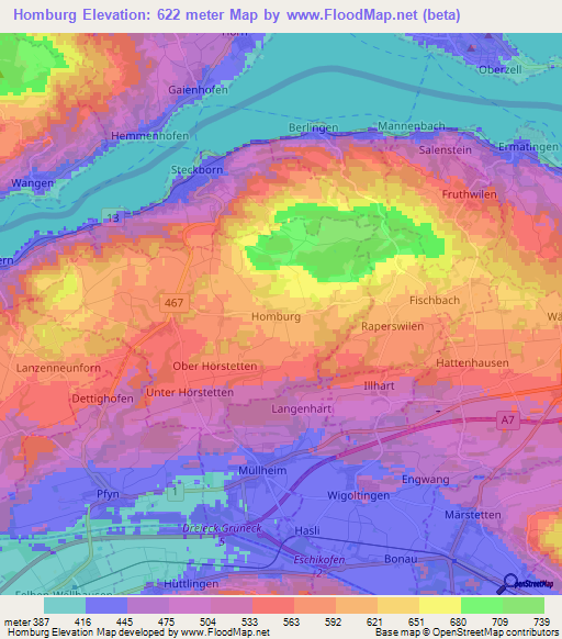 Homburg,Switzerland Elevation Map