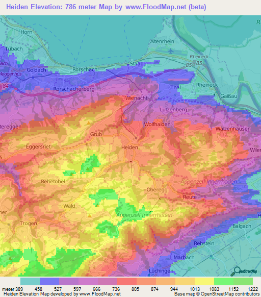 Heiden,Switzerland Elevation Map