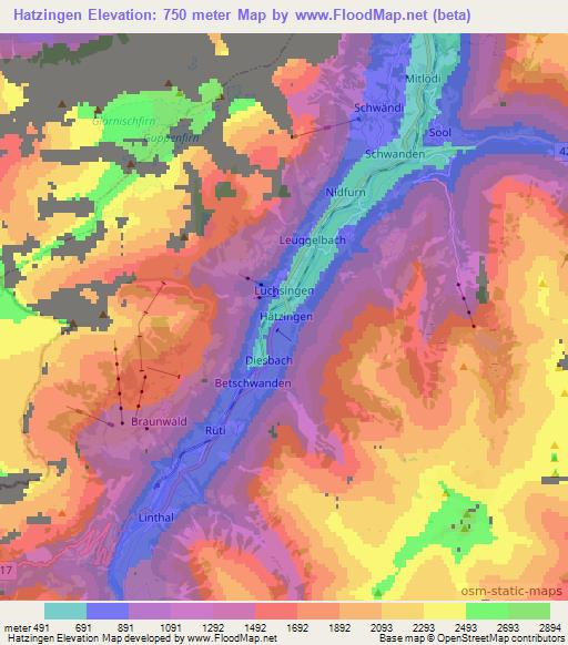 Hatzingen,Switzerland Elevation Map