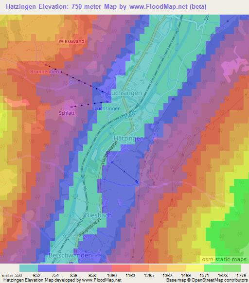 Hatzingen,Switzerland Elevation Map