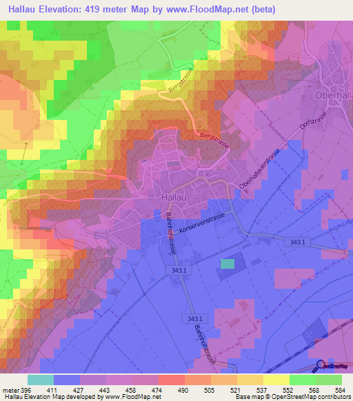 Hallau,Switzerland Elevation Map