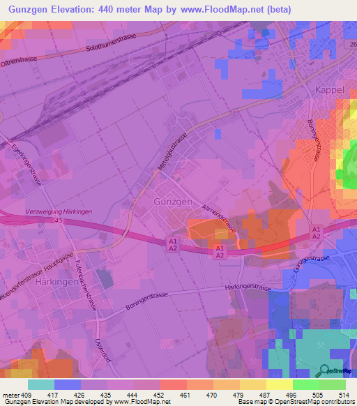 Gunzgen,Switzerland Elevation Map