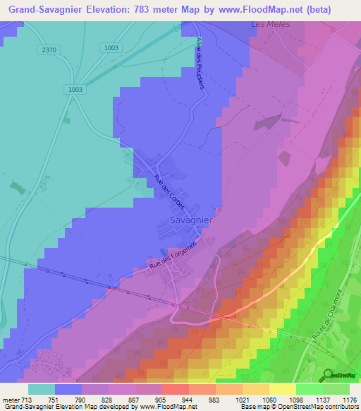 Grand-Savagnier,Switzerland Elevation Map