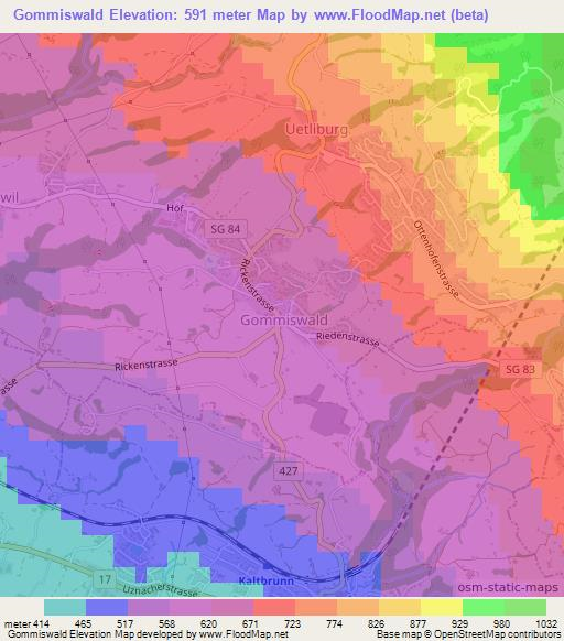 Gommiswald,Switzerland Elevation Map