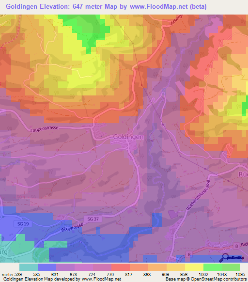 Goldingen,Switzerland Elevation Map