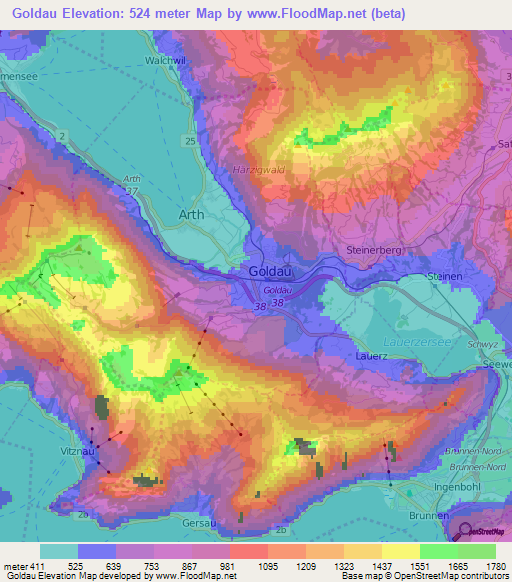 Goldau,Switzerland Elevation Map