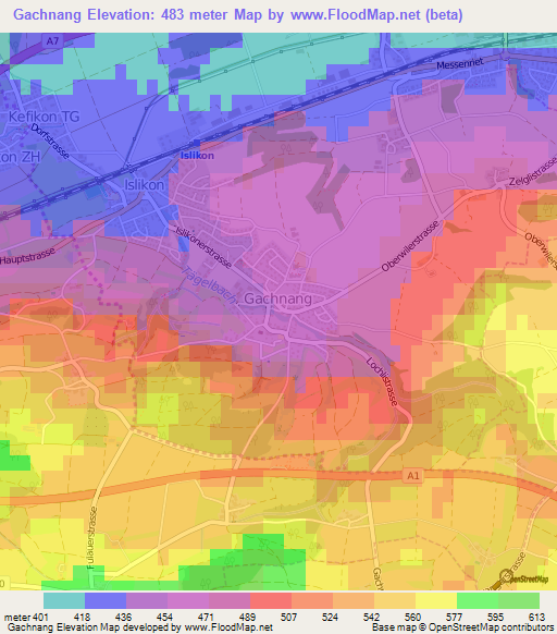 Gachnang,Switzerland Elevation Map