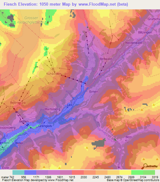 Fiesch,Switzerland Elevation Map