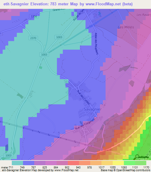 etit-Savagnier,Switzerland Elevation Map