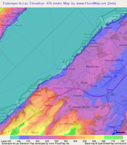 Estavayer-le-Lac,Switzerland Elevation Map